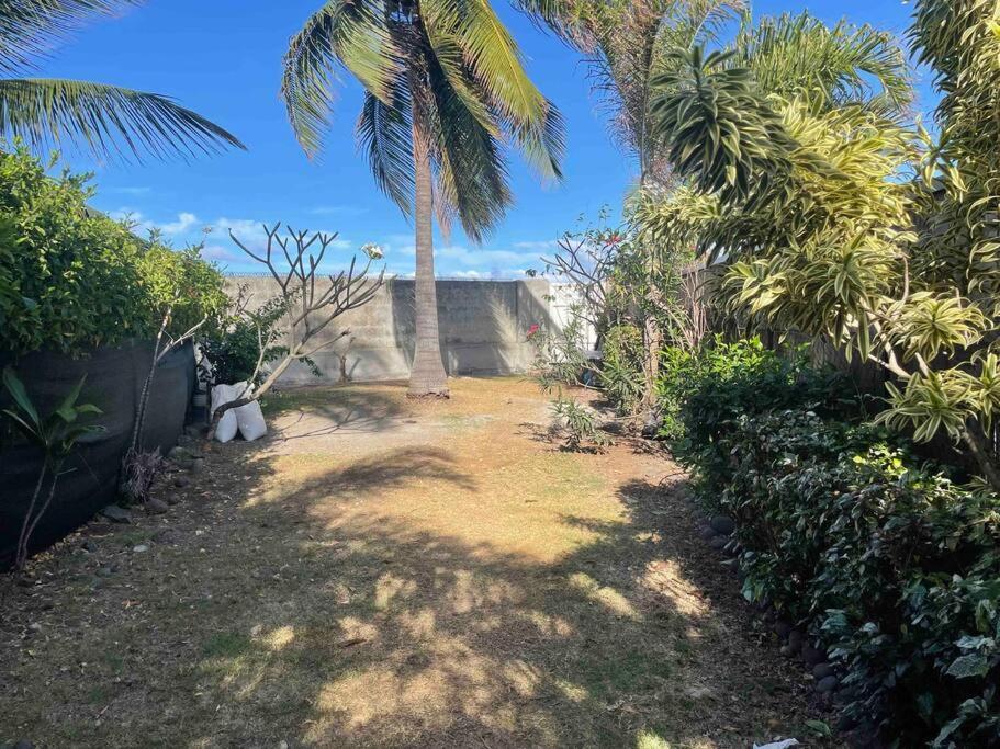 Moehani Beach Lodge 普纳奥亚 外观 照片