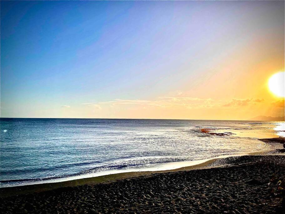 Moehani Beach Lodge 普纳奥亚 外观 照片